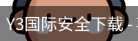 Y3国际安全下载